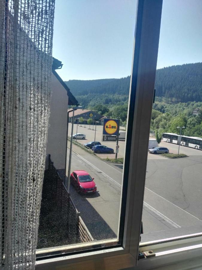 Rosen Garten Haus Titisee-Neustadt Buitenkant foto